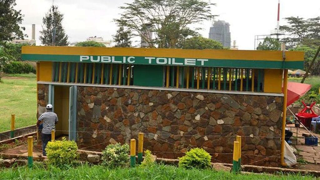 Warning: Public Toilets May Be the Culprit Behind the Increasing UTIs 8 Public-toilet-kenya