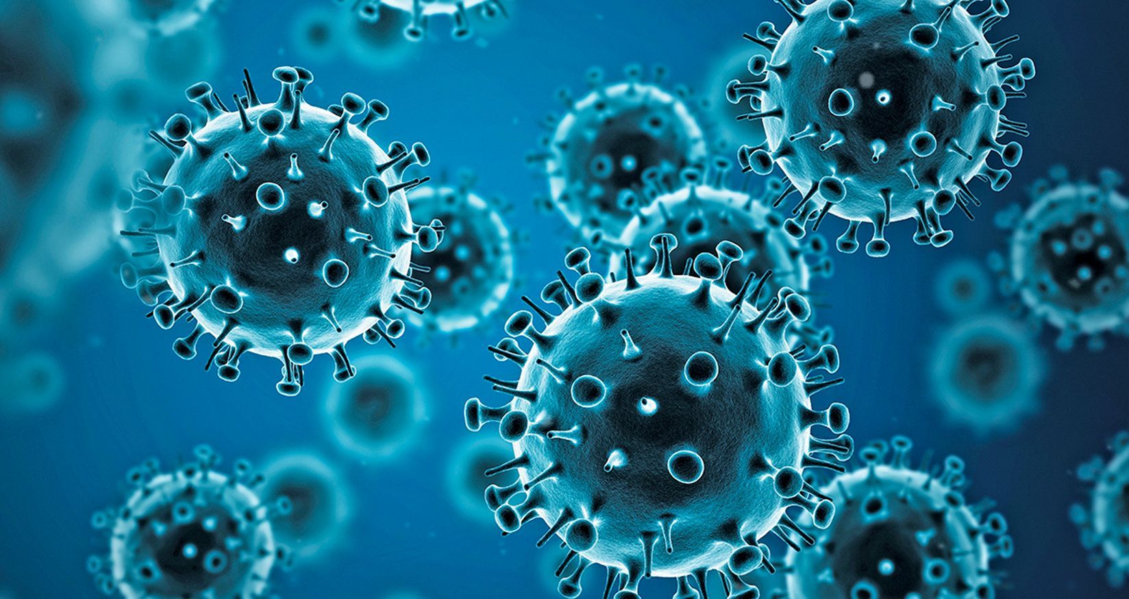 H1N1.jpg
