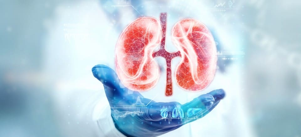 Nephrology.jpg